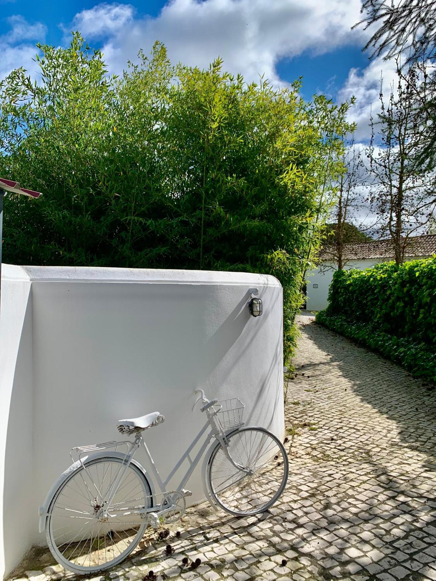 Casa Pitta Charm Villa Santarem Exterior photo